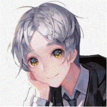 读者一苇头像